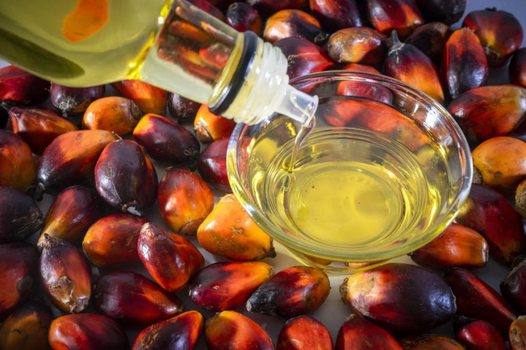 What is Palm Oil Used for in Beauty and Wellness Products?