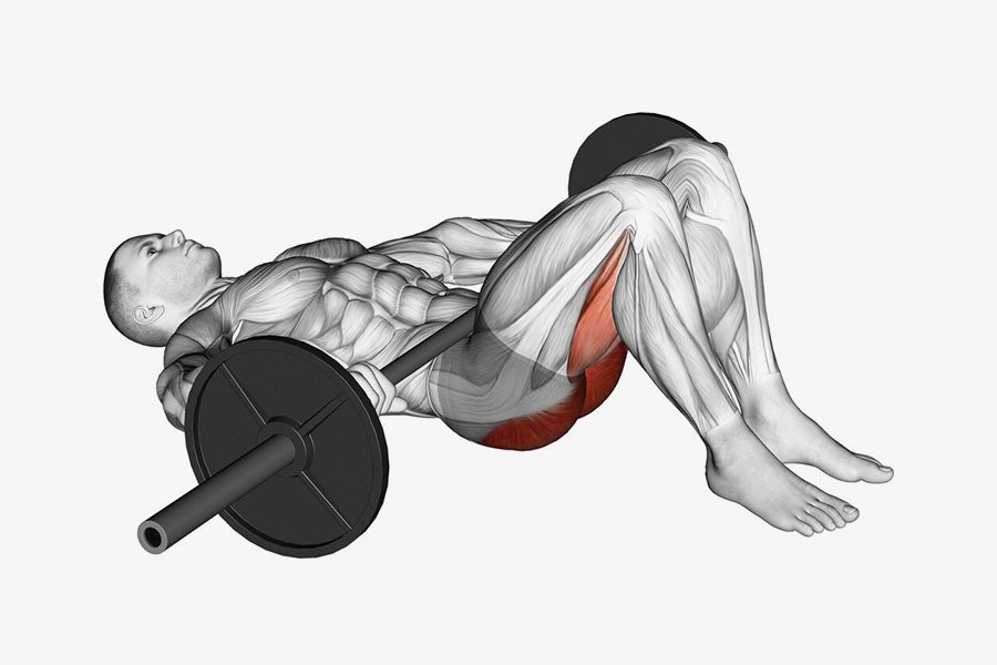 Understanding the Glute Bridge Exercise: Essential Insights Revealed