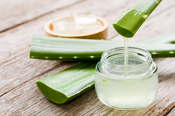 How to Use Aloe Vera Gel on Breast: Its Tremendous Benefits