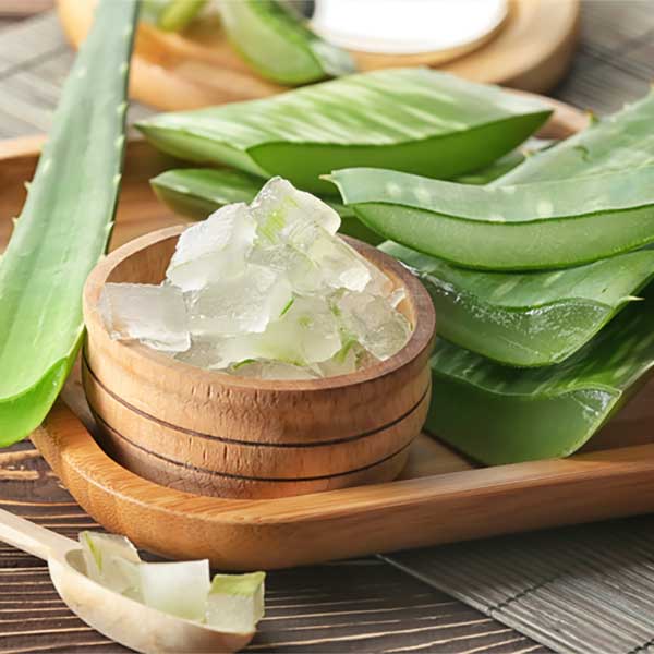 What Happens if Aloe Vera Gel Gets in Your Eyes? Approved Insights