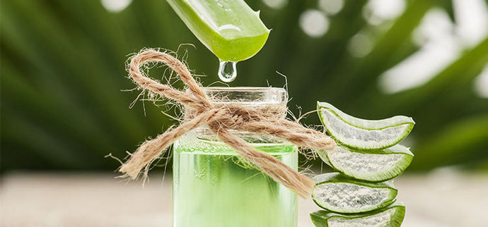 Delighted and Approved: What Is Aloe Vera Gel Good For?