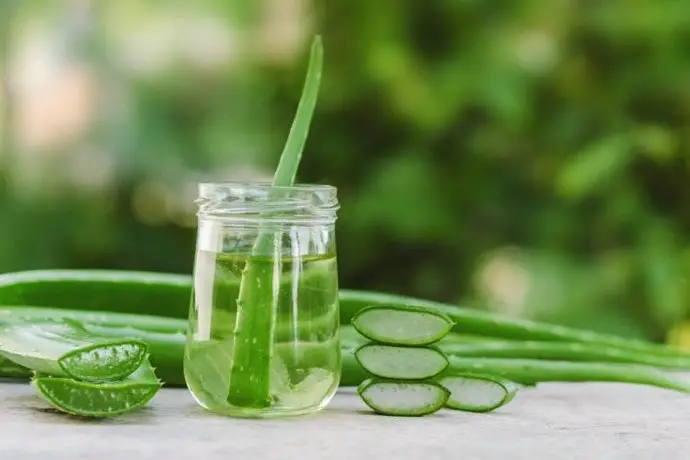 Discover the Best Aloe Vera Gel for Hair: Eco-Friendly Choices Reviewed
