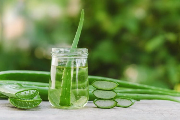 What Happens If You Boil Aloe Vera Gel - It's Here, A Tremendous Insight