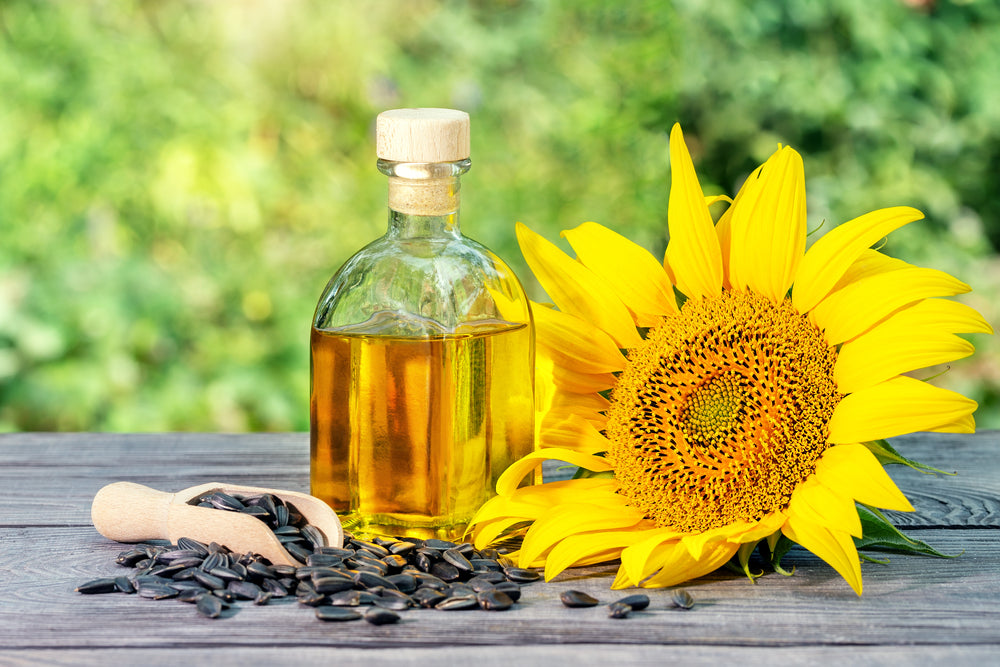 How to Make Sunflower Oil at Home: Is It Worth It?