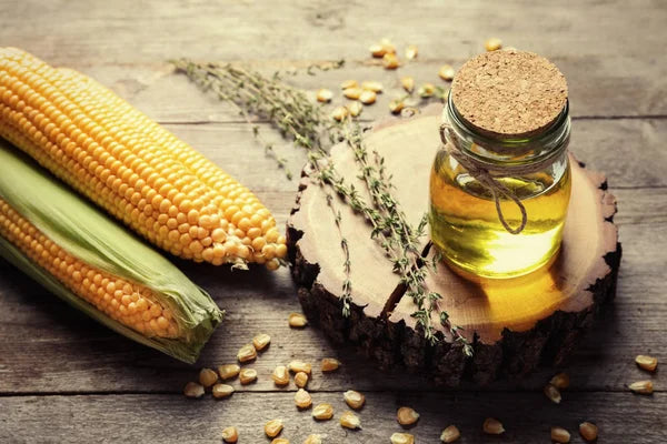 How Is Corn Oil Made? Terrific Technology for Beauticians