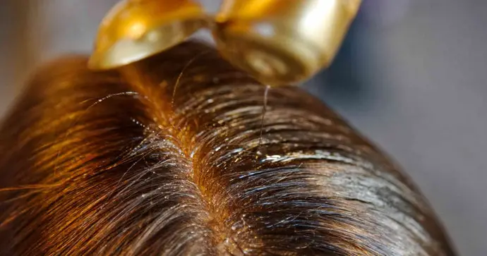 Does Veganic Hair Oil Work? Insights for Beauticians