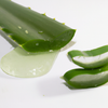 Unlocking the Benefits of Natural Aloe Vera Gel for Nature and Food Lovers