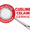 Is Culina Enamel Clean Kosher OU Certified? A Must-Have for Home Lovers