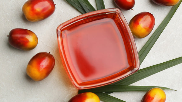 How is Palm Oil Harvested and Why Should You Care?