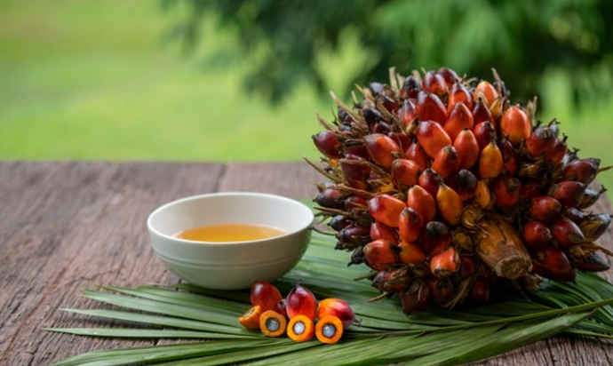 How to Get High Quality Palm Oil for Your Beauty Needs?