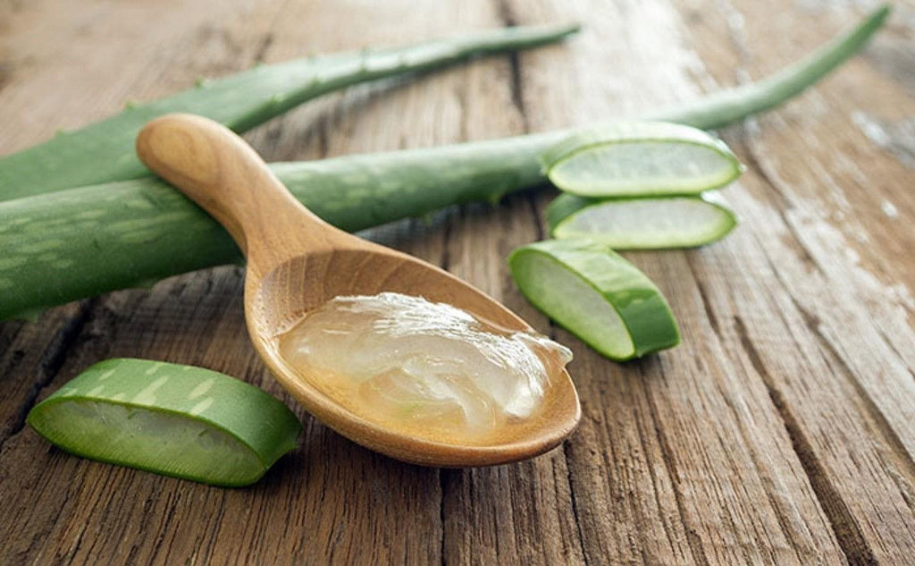 How to Make Aloe Vera Gel Without Blender - It's Here, It's Terrific!