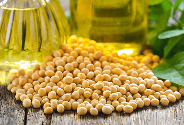 Which is Healthier, Soybean or Canola Oil? Shocking Insights