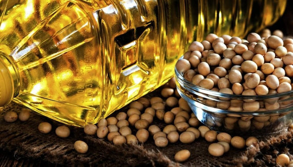 Why is Soybean Oil Bad for You? Understanding the Risks