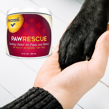 Paw Rescue by Petzooli®, Protective Balm for Paws and Hooves, 16 oz - Livananatural