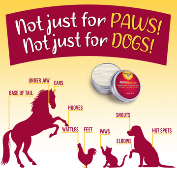 Paw Rescue w/ Manuka by Petzooli®, Protective Balm for Paws and Hooves, 2oz - Livananatural